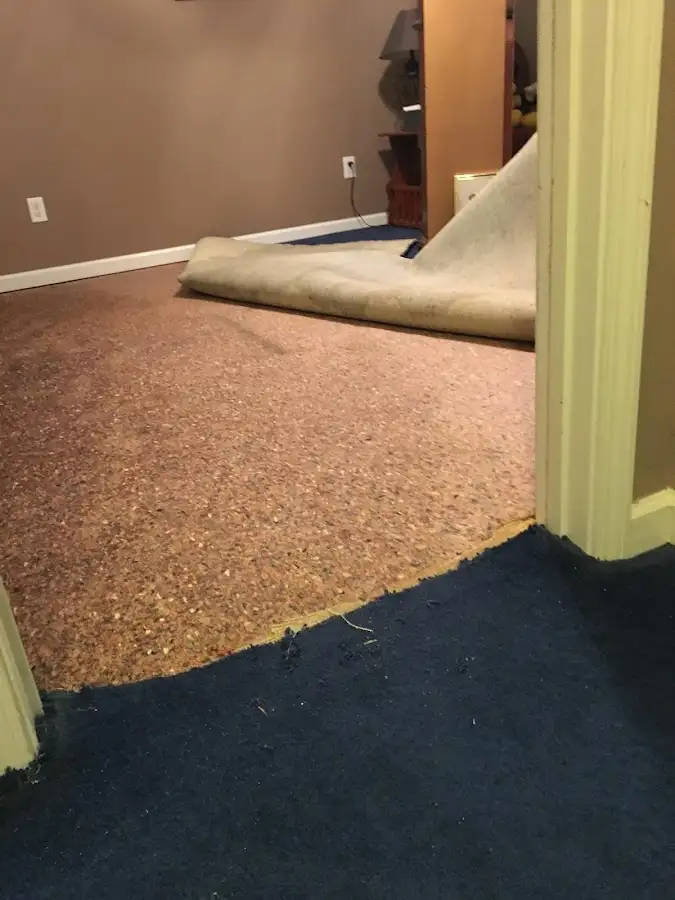Carpet pad removal revealing water damage during Water Mitigation Services in Romulus