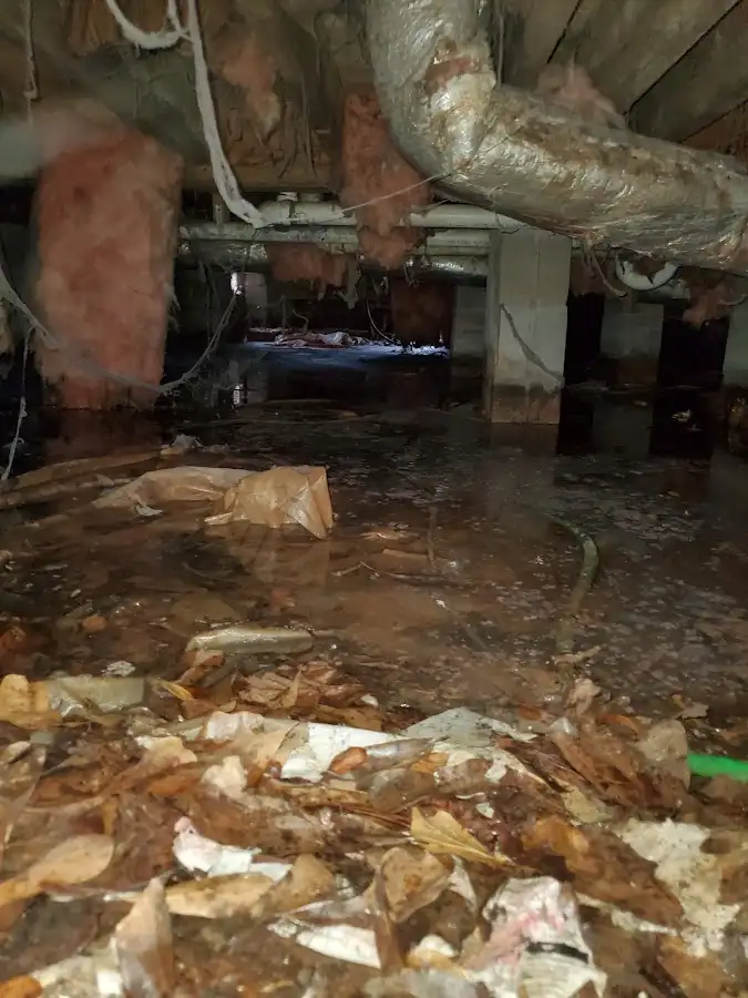 Crawl space flood assessment for Commercial Water Damage Restoration in Romulus