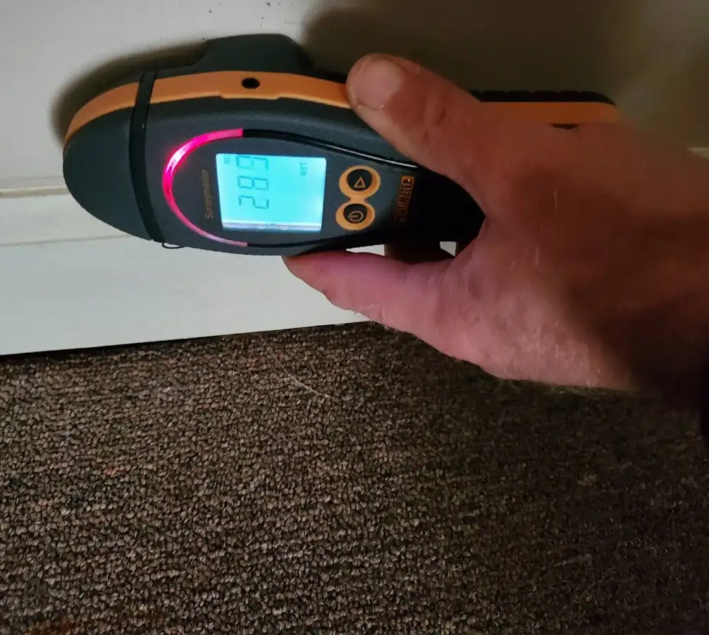 Moisture detection at baseboard during Storm Damage Restoration in Romulus